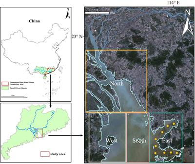 Remote sensing-based spatiotemporal variation and driving factor assessment of chlorophyll-a concentrations in China’s Pearl River Estuary